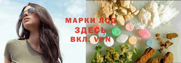 индика Бородино