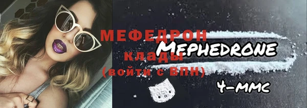 индика Бородино