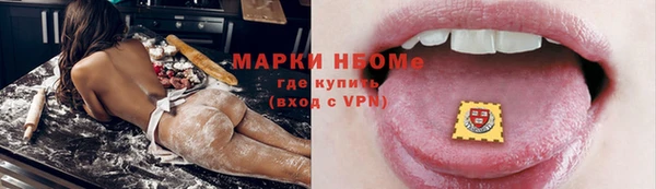 индика Бородино
