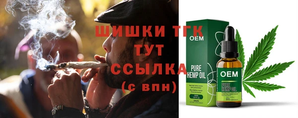 индика Бородино