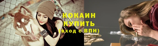 индика Бородино