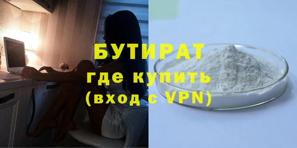 индика Бородино