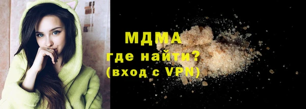 индика Бородино