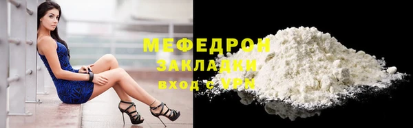 индика Бородино