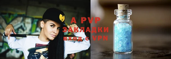 индика Бородино