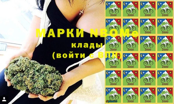 индика Бородино
