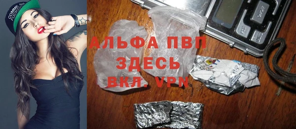 индика Бородино