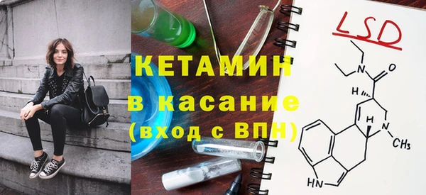 индика Бородино