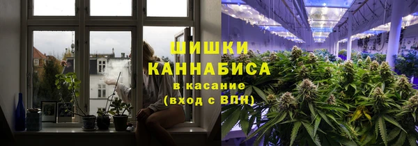 индика Бородино