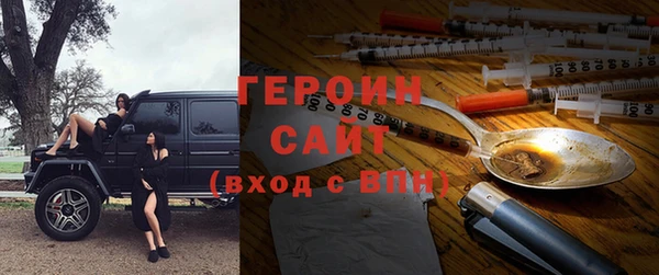 индика Бородино