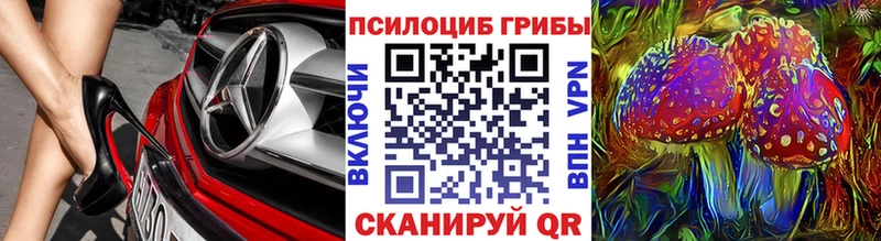где купить   Горняк  Галлюциногенные грибы Magic Shrooms 